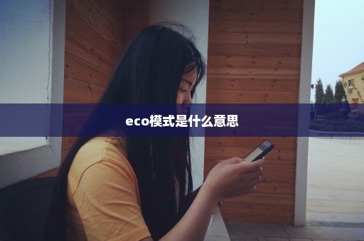 eco模式是什么意思