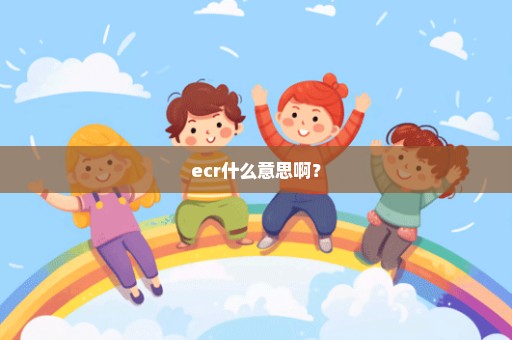 ecr什么意思啊？