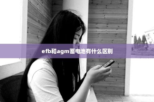 efb和agm蓄电池有什么区别