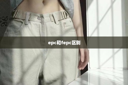 epc和fepc区别