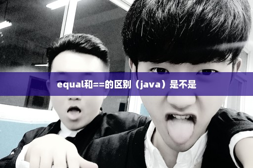 equal和==的区别（java）是不是