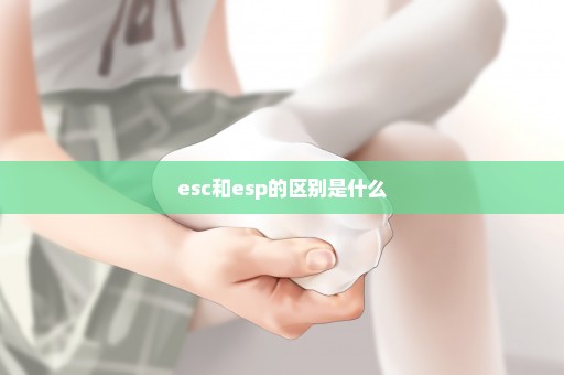 esc和esp的区别是什么