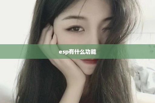 esp有什么功能