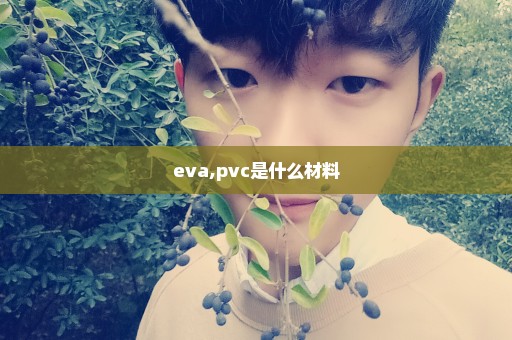 eva,pvc是什么材料