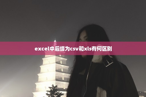 excel中后缀为csv和xls有何区别