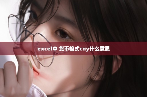 excel中 货币格式cny什么意思