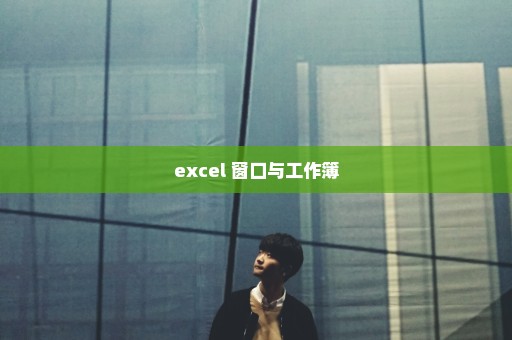 excel 窗口与工作簿