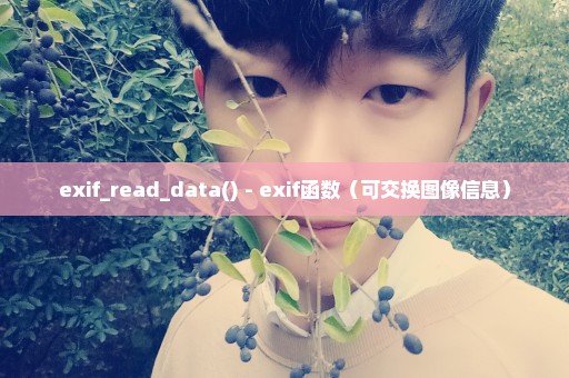 exif_read_data() - exif函数（可交换图像信息）