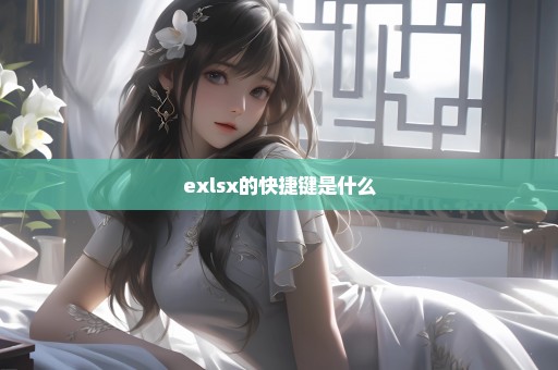 exlsx的快捷键是什么