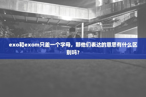 exo和exom只差一个字母，那他们表达的意思有什么区别吗？