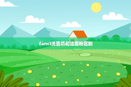 fancl洗面奶和洁面粉区别