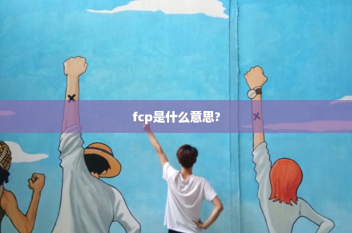 fcp是什么意思?