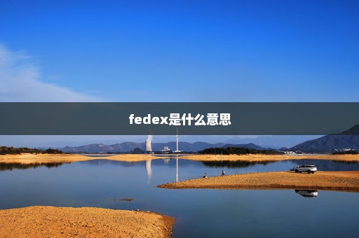 fedex是什么意思