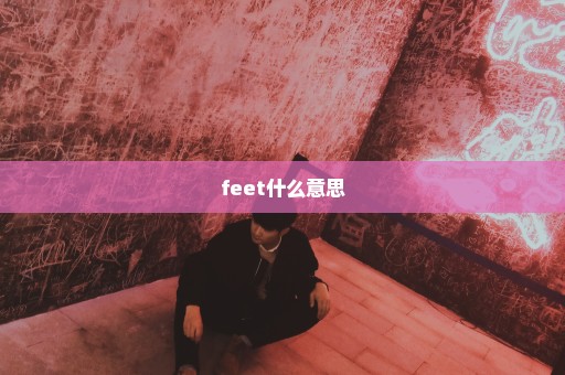 feet什么意思