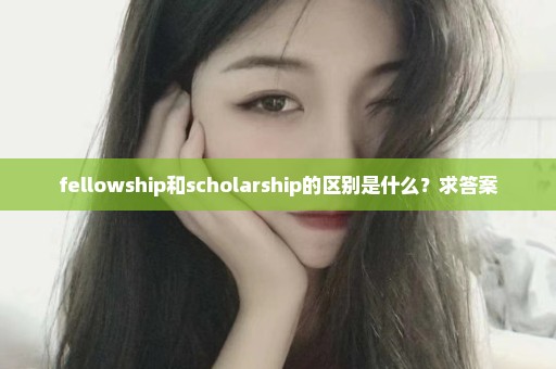 fellowship和scholarship的区别是什么？求答案