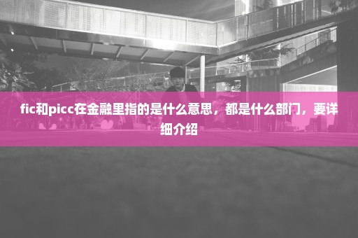 fic和picc在金融里指的是什么意思，都是什么部门，要详细介绍