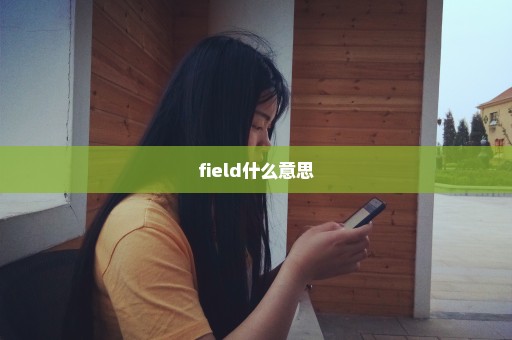 field什么意思