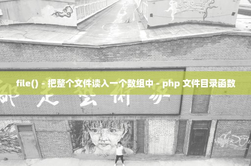 file() - 把整个文件读入一个数组中 - php 文件目录函数