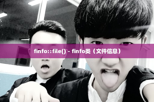 finfo::file() - finfo类（文件信息）