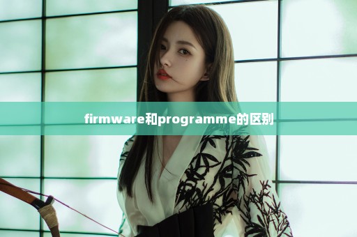 firmware和programme的区别