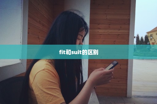 fit和suit的区别