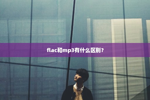 flac和mp3有什么区别？