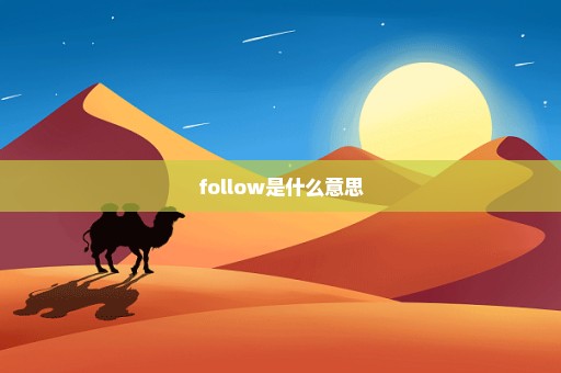 follow是什么意思