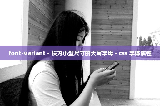 font-variant - 设为小型尺寸的大写字母 - css 字体属性