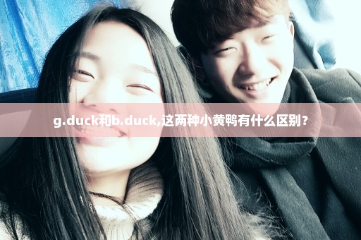 g.duck和b.duck,这两种小黄鸭有什么区别？