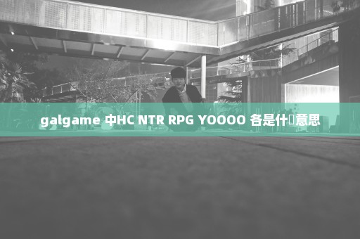 galgame 中HC NTR RPG YOOOO 各是什麼意思