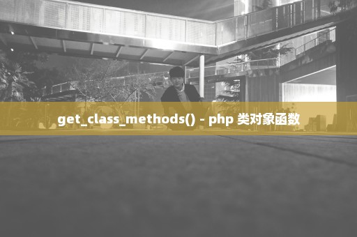 get_class_methods() - php 类对象函数