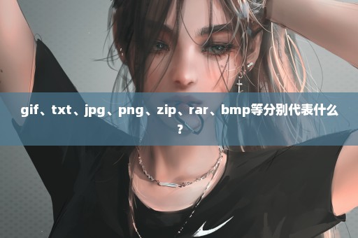 gif、txt、jpg、png、zip、rar、bmp等分别代表什么？