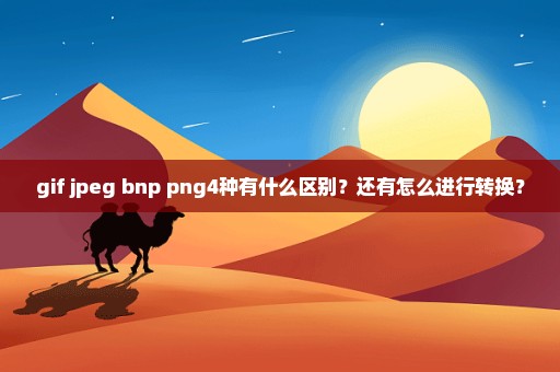 gif jpeg bnp png4种有什么区别？还有怎么进行转换？