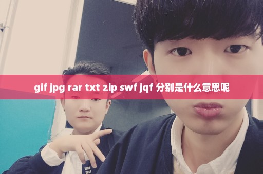 gif jpg rar txt zip swf jqf 分别是什么意思呢