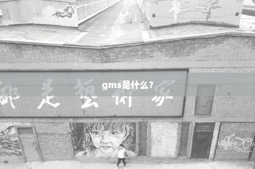 gms是什么？