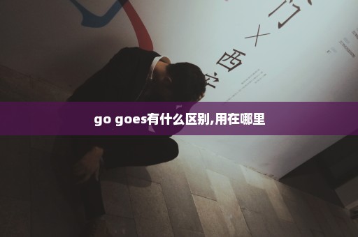 go goes有什么区别,用在哪里