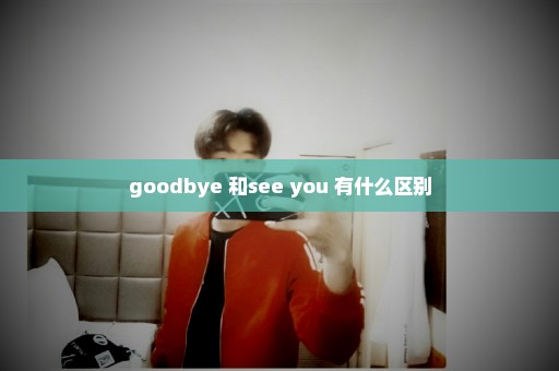 goodbye 和see you 有什么区别