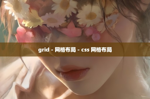 grid - 网格布局 - css 网格布局