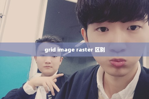 grid image raster 区别