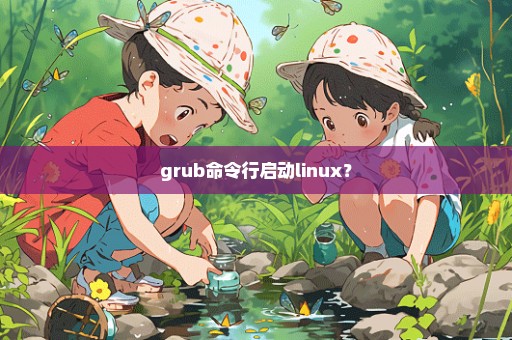 grub命令行启动linux？