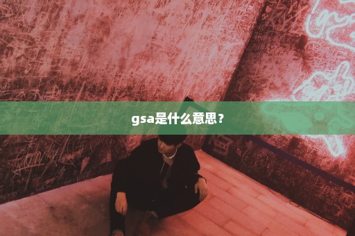 gsa是什么意思？