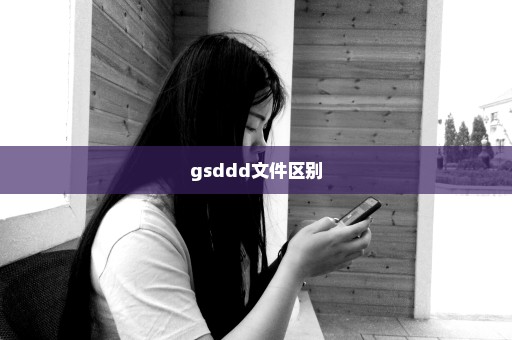 gsddd文件区别