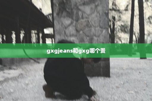 gxgjeans和gxg哪个贵