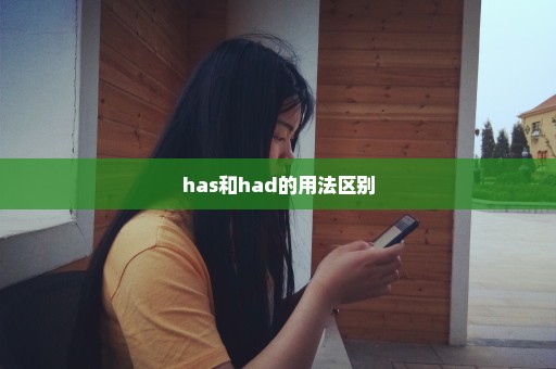 has和had的用法区别