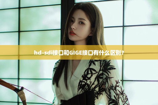 hd-sdi接口和GIGE接口有什么区别？