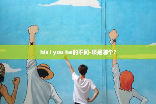 his i you he的不同-项是哪个?