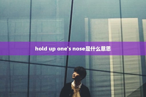 hold up one's nose是什么意思