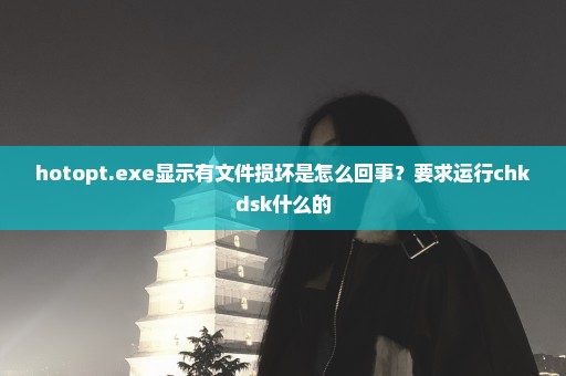 hotopt.exe显示有文件损坏是怎么回事？要求运行chkdsk什么的