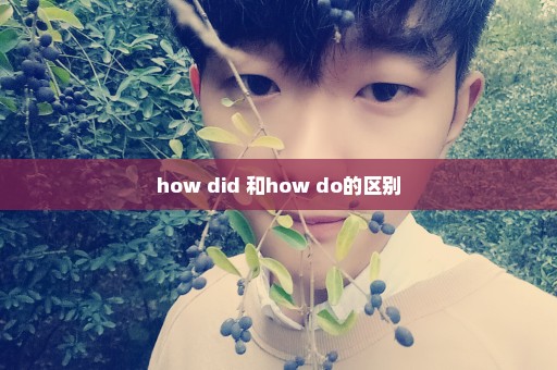 how did 和how do的区别