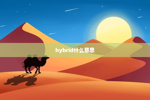 hybrid什么意思